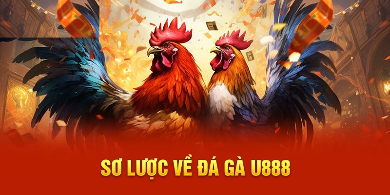 Hội viên cần nắm rõ khái niệm cách chơi đá gà khi tham gia